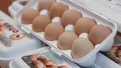 Доля ставропольской продукции на полках магазинов региона достигла 55%