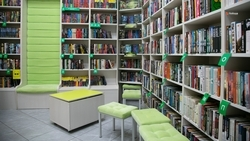 Капремонт библиотеки стартовал в селе Туркменского округа