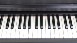 Станичная школа искусств в Предгорье получила новые музыкальные инструменты