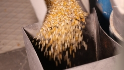 Ставрополец наладил производство кормов для птиц благодаря соцконтракту 