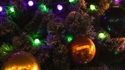 Более 250 человек поучаствовали в конкурсе ёлочных игрушек в Грачёвском округе