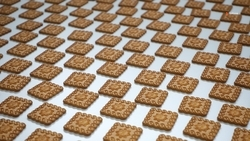 Кондитерская фабрика Ставрополя расширит ассортимент изготавливаемой продукции