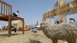 Зону Ставрополья открыли на площадке Дня поля на КМВ