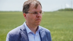 На Ставрополье учёные помогут аграриям защитить урожай