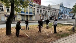 Более 20 тыс. человек приняли участие в субботнике в Ставрополе