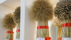 Ставрополье приняло участие в сельскохозяйственной выставке в Узбекистане