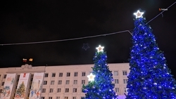 Две «Ёлки желаний» пройдут в каждом муниципалитете Ставрополья