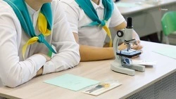 Ученики четырёх школ Кочубеевского округа осваивают аграрные профессии