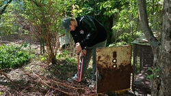 Волонтёры Изобильненского округа помогли с уборкой 101-летнему ветерану 