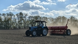 Яровой сев пройдёт на Ставрополье на 930 тыс. га полей 