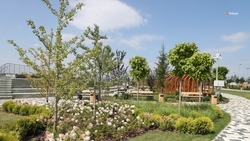 Озеленение провели на трёх благоустроенных территориях Минераловодского округа