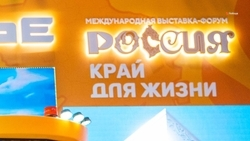 Неделя промышленности и строительства вновь проходит на стенде Ставрополья