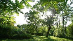 В природном заказнике на Ставрополье открыли эколого-просветительский маршрут