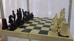 Первый на Кавказе музей шахмат откроют в Ставрополе 