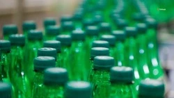 Ставропольская минералка и мясо птицы вышли на рынки Африки