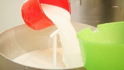 Почти 300 тыс. тонн молока получили на Ставрополье