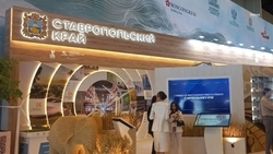 Губернатор Владимиров подвёл итоги участия Ставрополья в Кавказском инвестфоруме