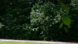  Природоохранные зоны Ставрополья выросли на 3 тыс. га   