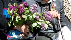 Больше 860 детей войны получат выплаты в Левокумском округе в 2025 году