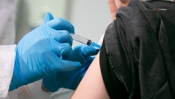 Более 900 тыс. ставропольцев подключились к прививочной кампании против гриппа