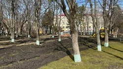 Благоустройство сквера в Ставрополе выполнили на 20% 