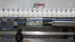 Экспорт молочной продукции нарастили на Ставрополье в 10 раз