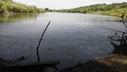 Почти 25 млн господдержки получили ставропольские рыбоводы