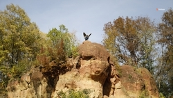 На Ставрополье перевыполнили план по курортному сбору