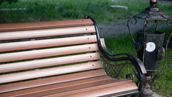 Аллею в Предгорном округе начали благоустраивать по программе местных инициатив