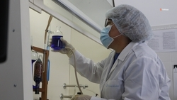 Экспорт продукции химпрома расширяют на Ставрополье 