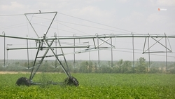 Мелиорация позволяет наращивать производство сельхозпродукции на Ставрополье