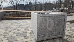 Голосование за благоустройство общественных объектов началось на Ставрополье