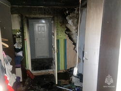 Семья со Ставрополья потушила пожар в доме из-за дровяной печи