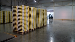 Региональный парк откроют в Зеленокумске