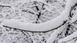 К следующей зиме в Ставрополе оборудуют снегоплавильную установку