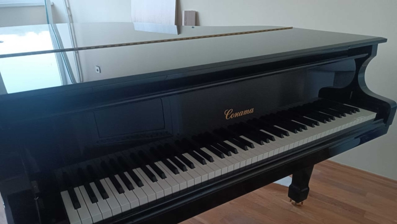 Новые инструменты закупили в музыкальную школу Кисловодска