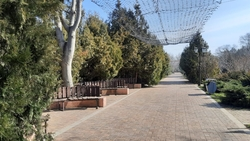 Сквер в селе Дивном благоустроили по нацпроекту