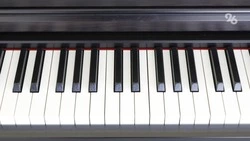 Музыкальные инструменты обновят в детской школе искусств Изобильненского округа