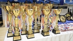 Ставропольчане завоевали четыре медали на чемпионате мира по рукопашному бою