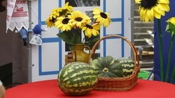 1,2 тыс. тонн бахчевых культур собрали на Ставрополье