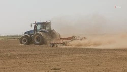 Закладка раннего картофеля стартовала в Степновском округе