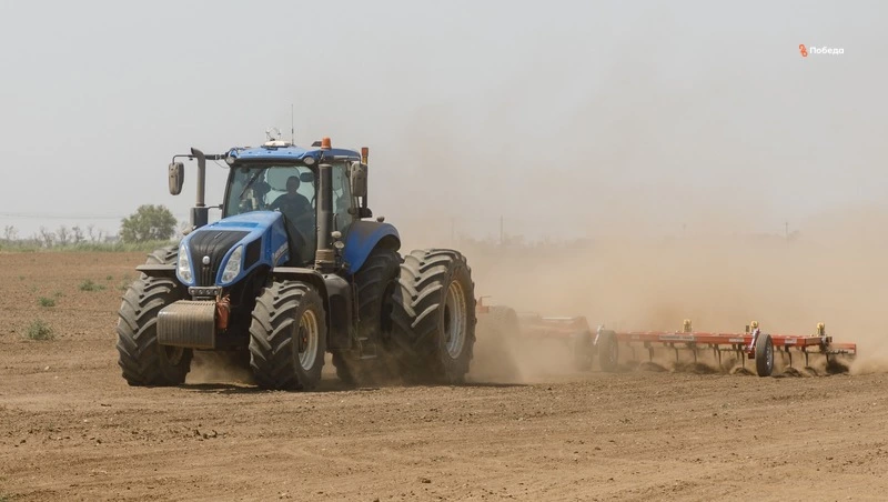 В Предгорье площадь посевов картофеля выросла на 20%