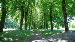 Более 2,9 тыс. стихийных свалок убрали на Ставрополье в 2024 году