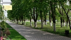 Новый Сквер энергетиков в Солнечнодольске готов принять посетителей