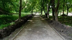 Второй этап благоустройства молодёжного парка реализуют в Ипатовском округе