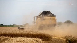 Аграриям Ставрополья предстоит убрать урожай с площади 2,2 млн га — губернатор