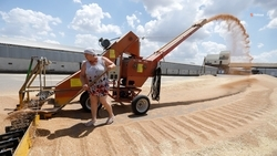 Лён собрали в Александровском округе